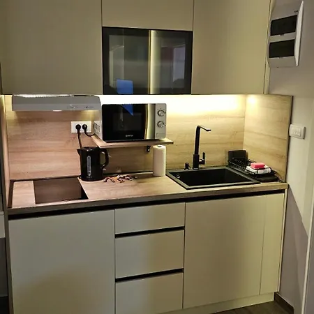 Apartment Silver Dream 2 Veliko Gradiste